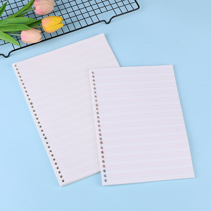 A4 A5 B5 Notebook Journal Medi – Notebook Dotted A5 recenzja i cena